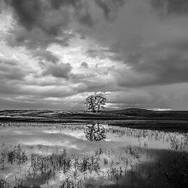 Somewhere In Between by Adam Mateo Fierro