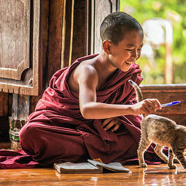 Southeast Asian child monk gets distracted by a cat from learning by Miroslav Liska