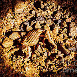 Spotlight on a extinct stegosaurus by Jorgo Photography