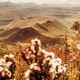 Spring mountain blossoms by Jorgo Photography