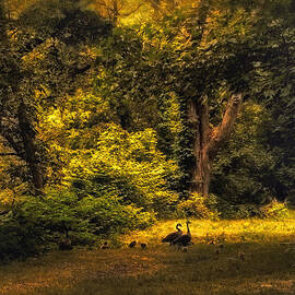 Spring Outing by Jessica Jenney