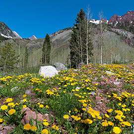 Spring Rocky Mountain Landscape by Cascade Colors