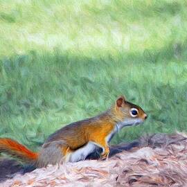 Squirrel in the Park by Jeffrey Kolker
