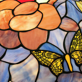 stained glass with butterfly by Flees Photos