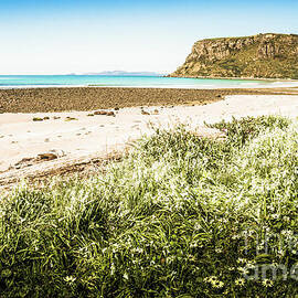 Spectacular Stanley by Jorgo Photography