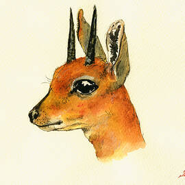 Steenbok by Juan  Bosco
