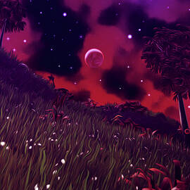 Stellaris by AM FineArtPrints