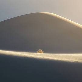 Stranded by BJ Stockton