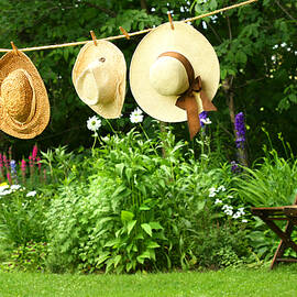 Summer straw hats hanging on clothesline by Sandra Cunningham