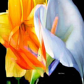 Sunny Bouquet  by Rafael Salazar