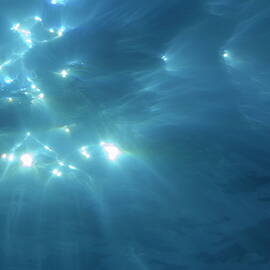 Sunrays penetrating waters surface underwater view by Sami Sarkis Photography