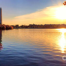 Sunrise on the Tidal Basin by Olivier Le Queinec