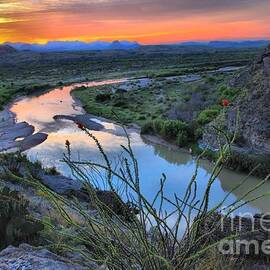 Sunrise Over The Ocatillo by Adam Jewell