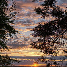 Sunset Caressed by Tree Branch by Mary Lee Dereske