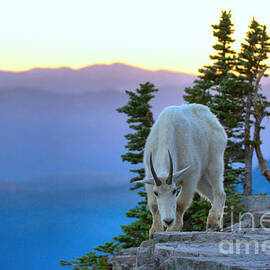 Sunset On The Cliff by Adam Jewell