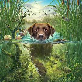 Sunset Swim by Mark Fredrickson