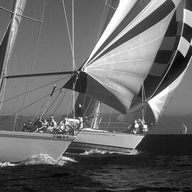 Surging Ahead by David Shuler
