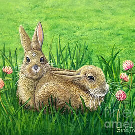 Surprised by Sarah Irland