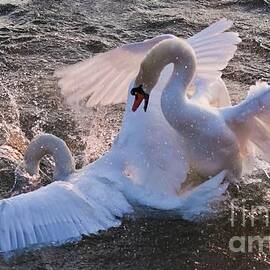 Nuptial Dance 3 by Tatiana Travelways