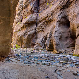 Take Nothing but Pictures Leave Nothing but Handprints by Adam Mateo Fierro