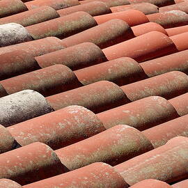 Terracotta Roof by Richard Reeve