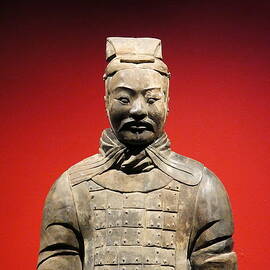 Terracotta warrior army of Qin Shi Huang Di I by Richard Reeve