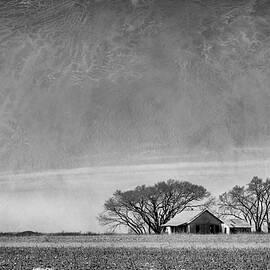 Texas Cotton Farm by Mary Lee Dereske