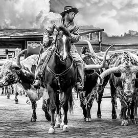 Texas Longhorns by Kelley King
