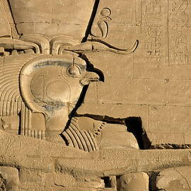 The ancient Egyptian god Horus sculpted on the wall of the First Pylon at the Temple of Edfu by Sami Sarkis Photography