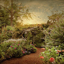 The Arbor by Jessica Jenney