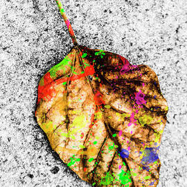 The Art Of Nature by Jorgo Photography