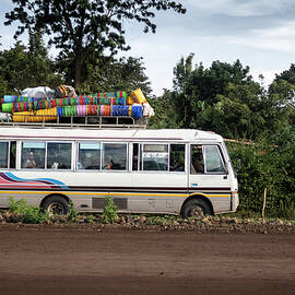 The Bus of Buckets by Mary Lee Dereske
