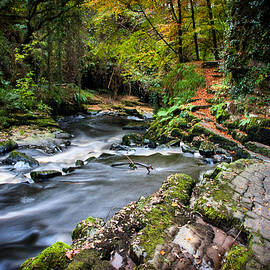 The Clare Glens by Mark Callanan