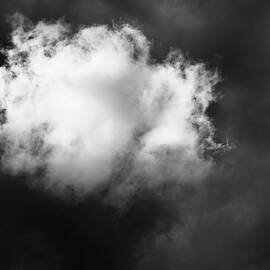 The Cloud by Mary Lee Dereske