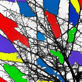 The colors of imagination by AM FineArtPrints
