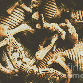 The dark dinosaur abstract by Jorgo Photography