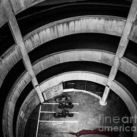 The Descent by Darcy Michaelchuk