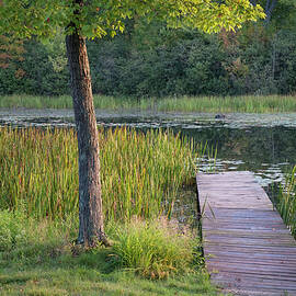 The Dock at Morning by Mary Lee Dereske