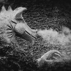 The Dragon in the Ivy by Mary Lee Dereske