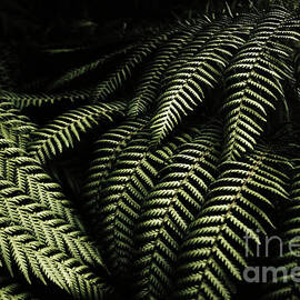 The exotic dark jungle by Jorgo Photography