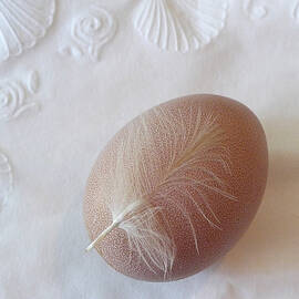 The Gift by Richard Reeve