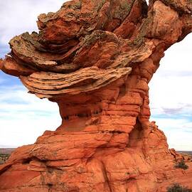 The Gladiator by Adam Jewell