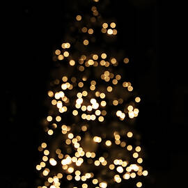 The Golden Glow of a Christmas Tree by Rona Black