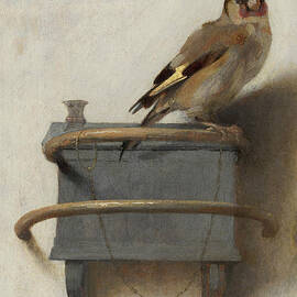 The Goldfinch, 1654  by Carel Fabritius