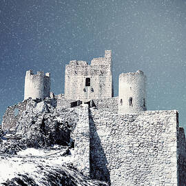 The Lone Survivor  by AM FineArtPrints