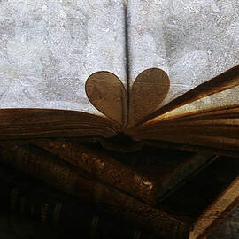 The Love of a Book by Georgia Clare