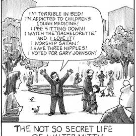 The Not So Secret Life of Walter Mitty by Harry Bliss