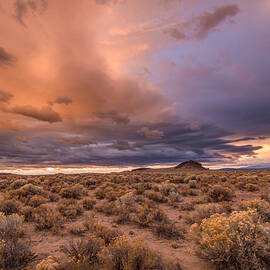 The Oregon Desert by Russell Wells