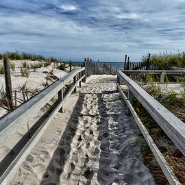 The Path by Louis Dallara