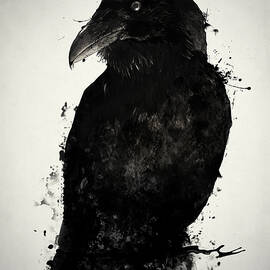 The Raven by Nicklas Gustafsson